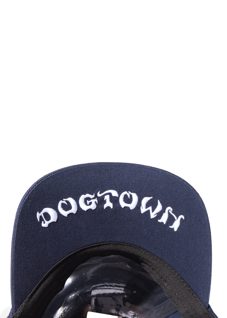 DOGTOWN TWILL 6P CAP (DT010H002)